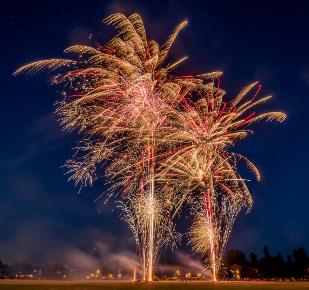 The Force Of July - Randy Bryan